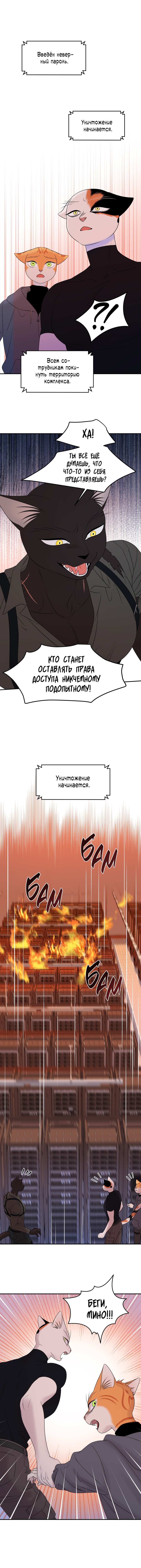 Манга Проект "Синий" - Глава 97 Страница 29