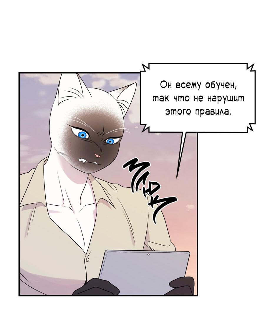 Манга Проект "Синий" - Глава 28 Страница 23