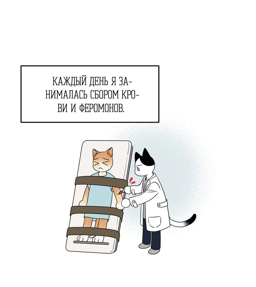 Манга Проект "Синий" - Глава 28 Страница 5