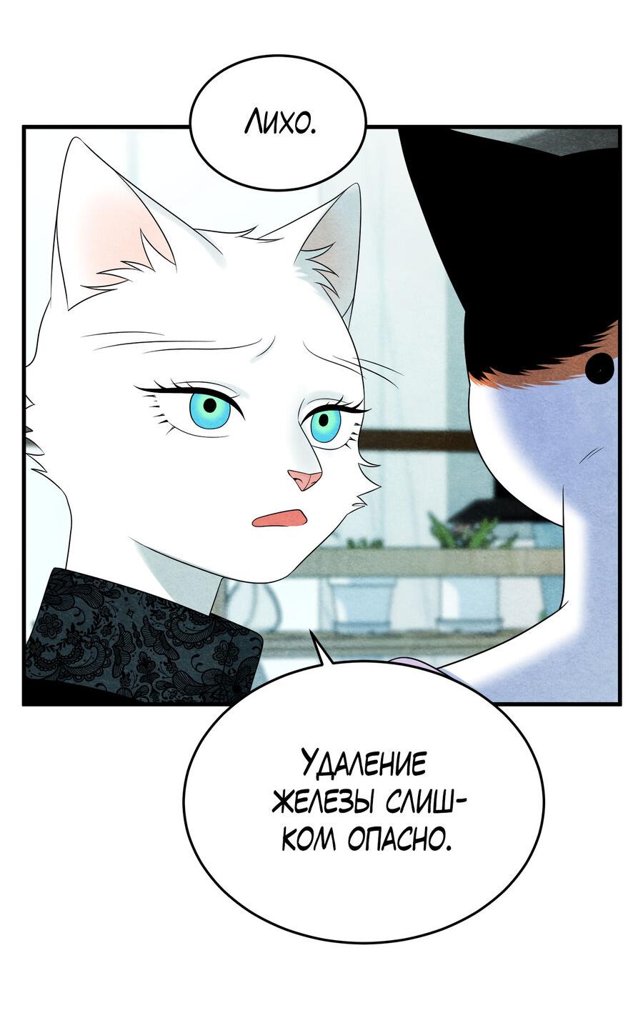 Манга Проект "Синий" - Глава 83 Страница 49