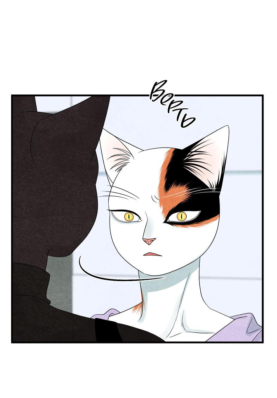 Манга Проект "Синий" - Глава 83 Страница 19