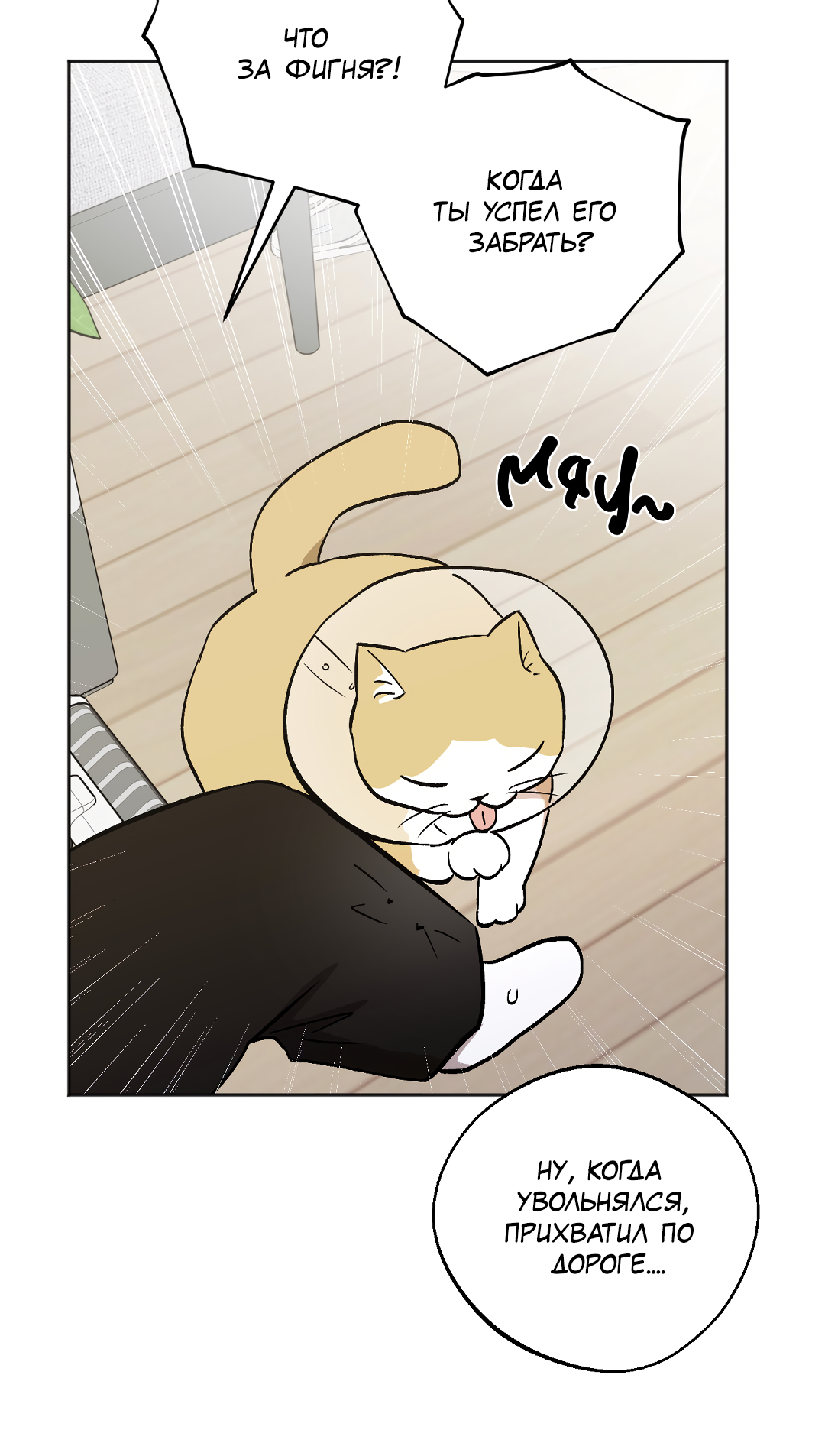 Манга Обряд происхождения - Глава 35 Страница 17