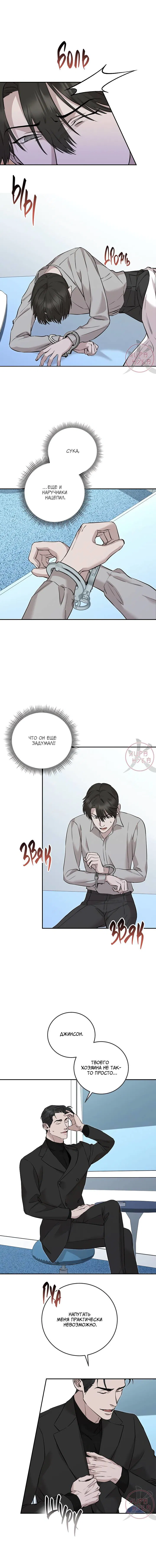 Манга Морфеус - Глава 37 Страница 3