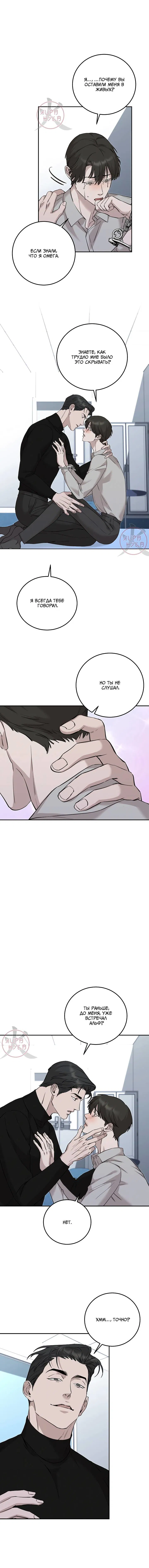 Манга Морфеус - Глава 37 Страница 13