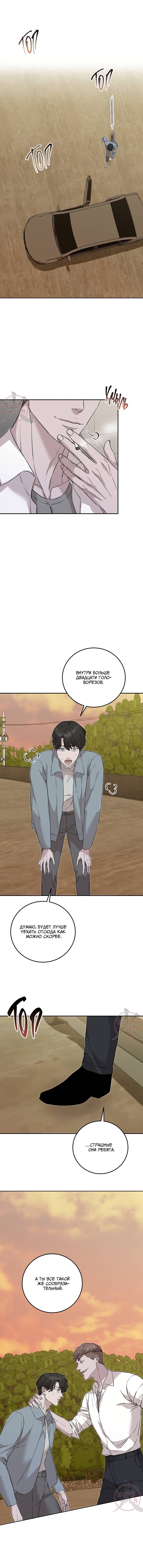 Манга Морфеус - Глава 60 Страница 13