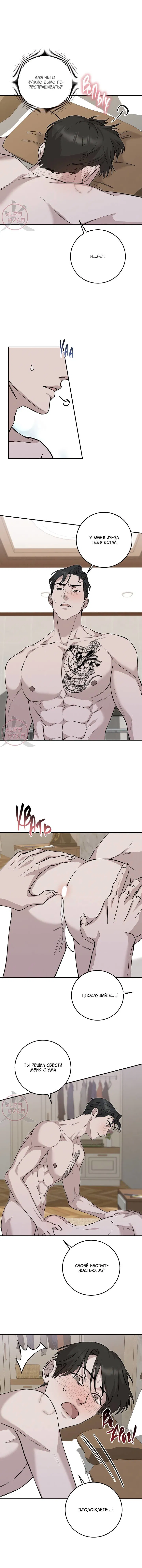 Манга Морфеус - Глава 59 Страница 8