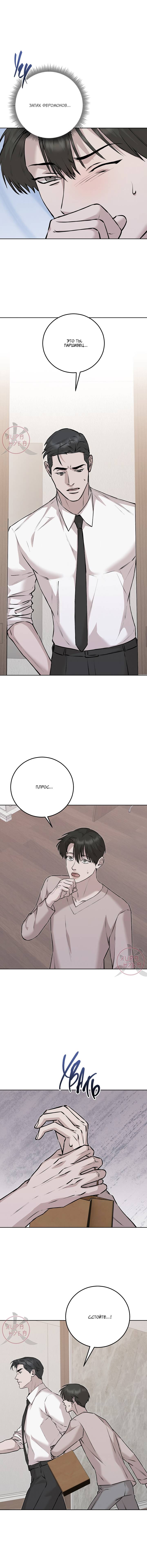 Манга Морфеус - Глава 63 Страница 9