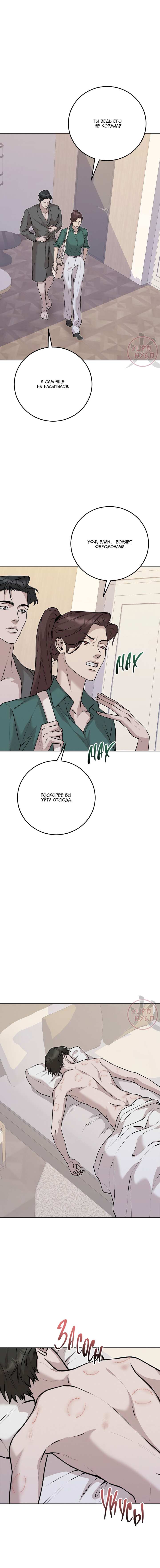 Манга Морфеус - Глава 65 Страница 11