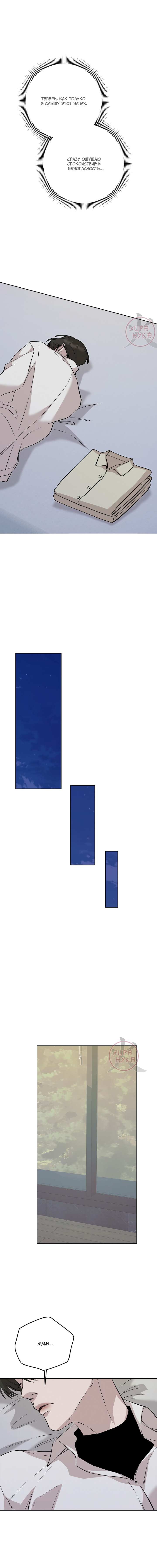 Манга Морфеус - Глава 67 Страница 10