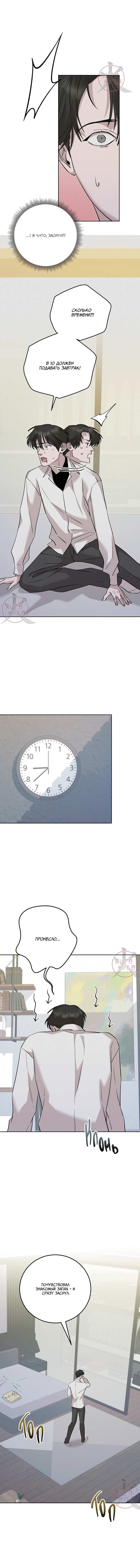 Манга Морфеус - Глава 67 Страница 11