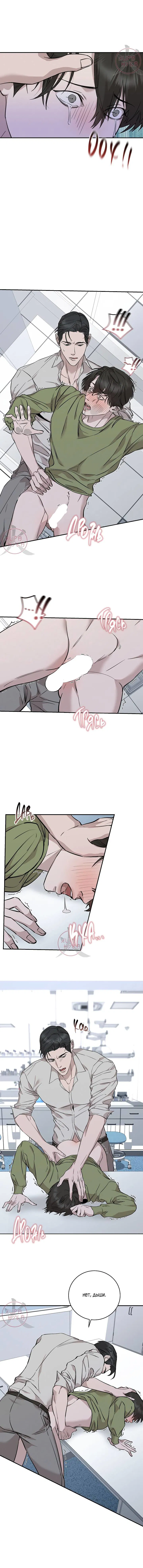 Манга Морфеус - Глава 31 Страница 5