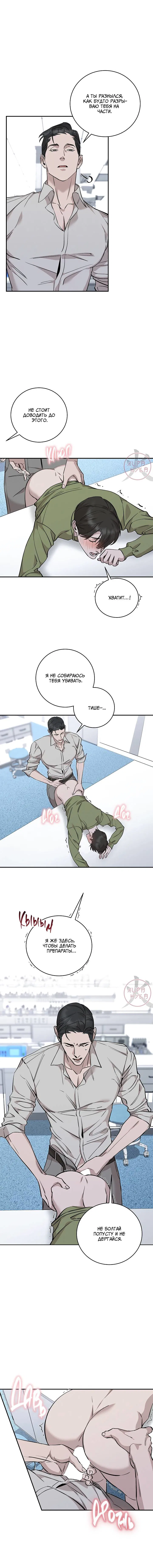 Манга Морфеус - Глава 31 Страница 3