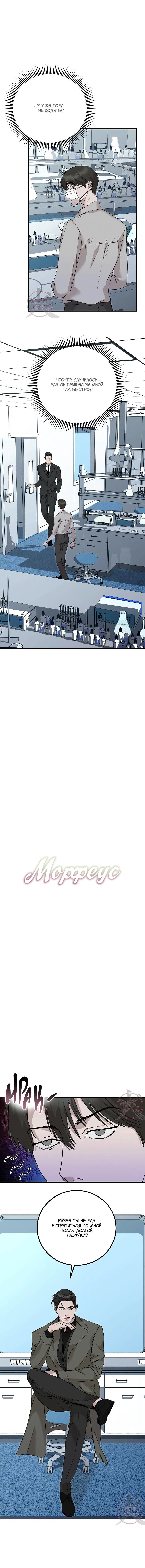 Манга Морфеус - Глава 35 Страница 8