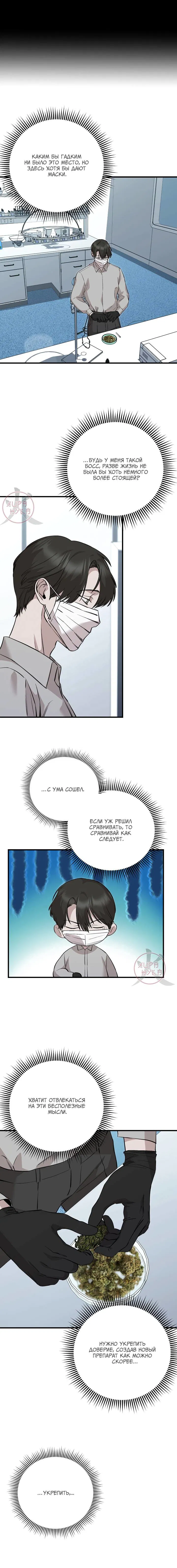 Манга Морфеус - Глава 35 Страница 6