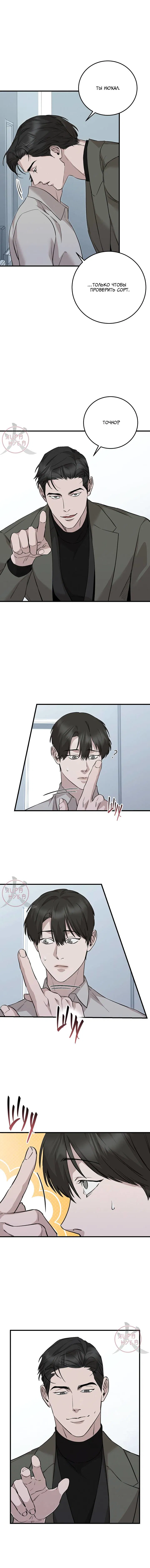 Манга Морфеус - Глава 35 Страница 11