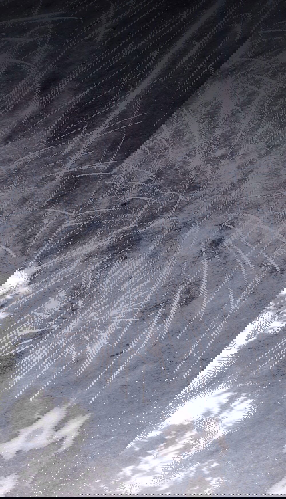 Манга Убогая сказка - Глава 23 Страница 51