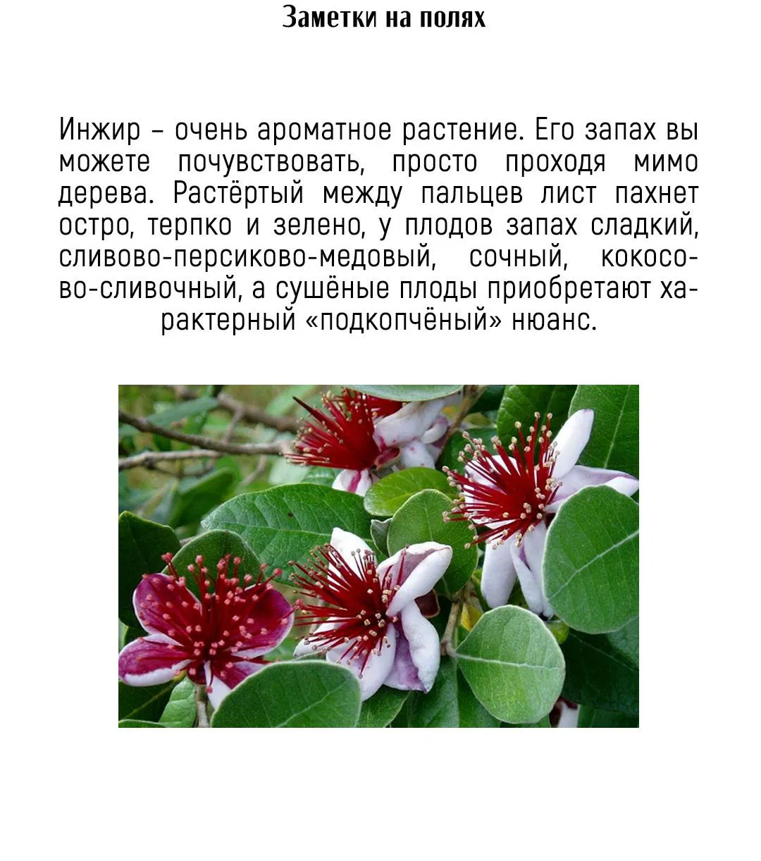Манга Псы Сизифа - Глава 12 Страница 79