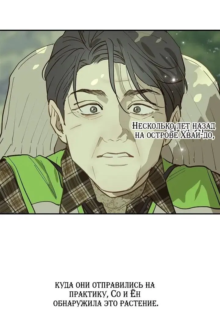 Манга Цветы — лишь приманка - Глава 38 Страница 41