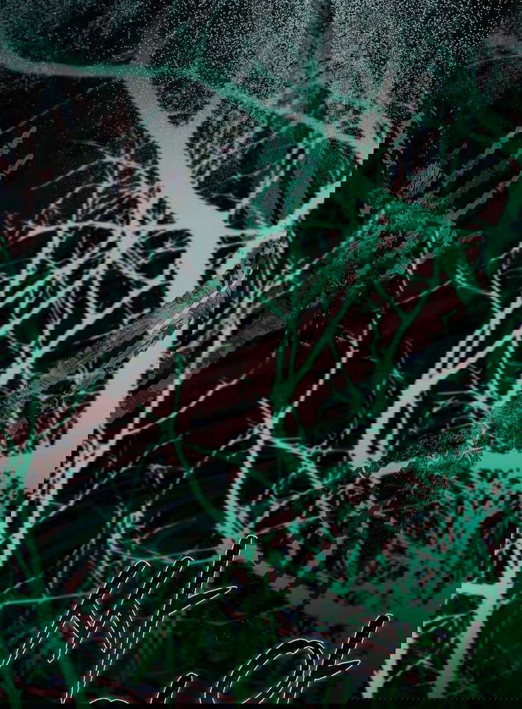 Манга Малышка-фея — злодейка - Глава 41 Страница 69