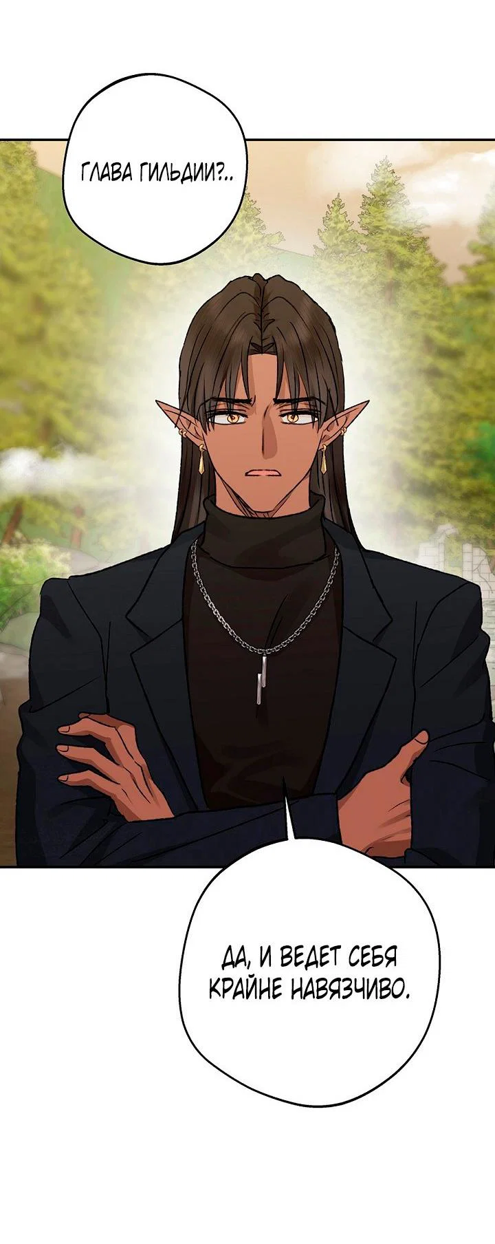 Манга Сношение эльфов - Глава 62 Страница 53