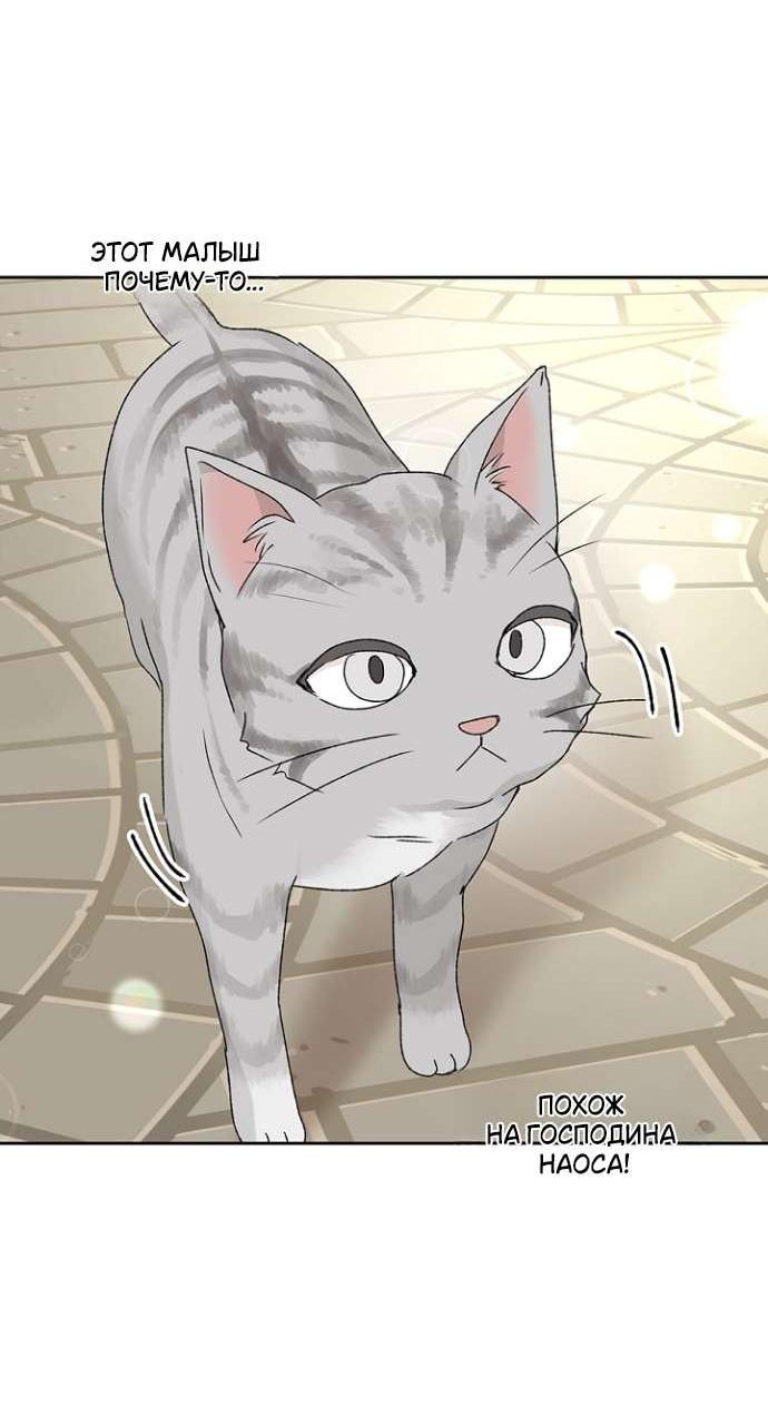 Манга Сношение эльфов - Глава 53 Страница 27