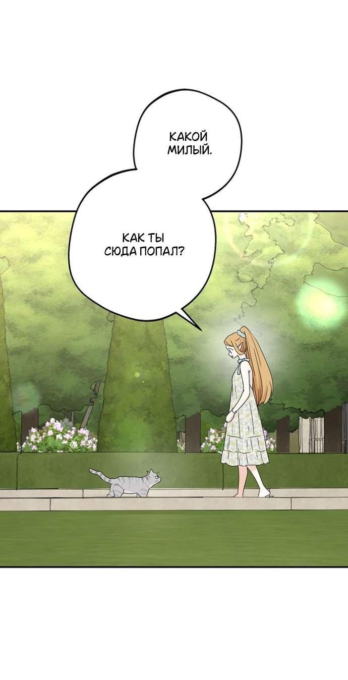 Манга Сношение эльфов - Глава 53 Страница 26