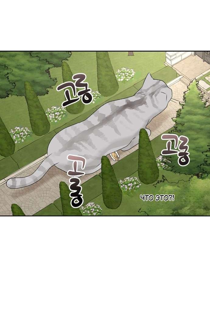 Манга Сношение эльфов - Глава 53 Страница 35