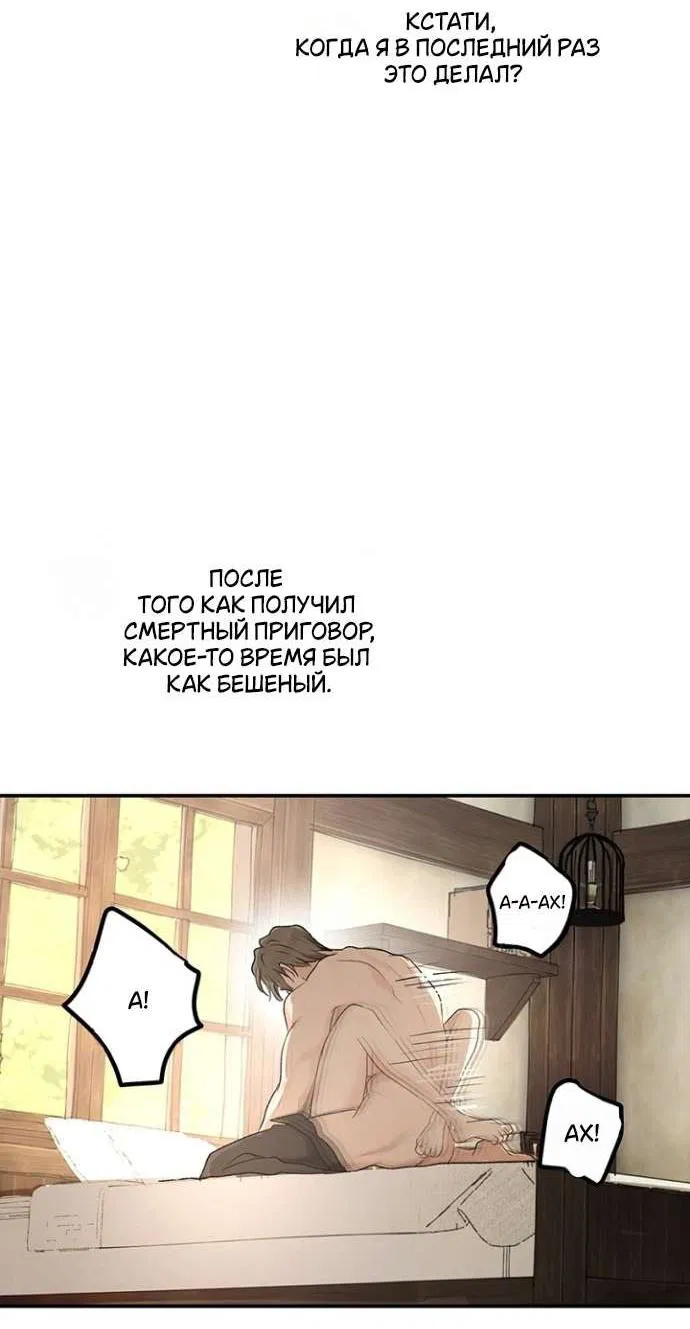 Манга Сношение эльфов - Глава 52 Страница 11