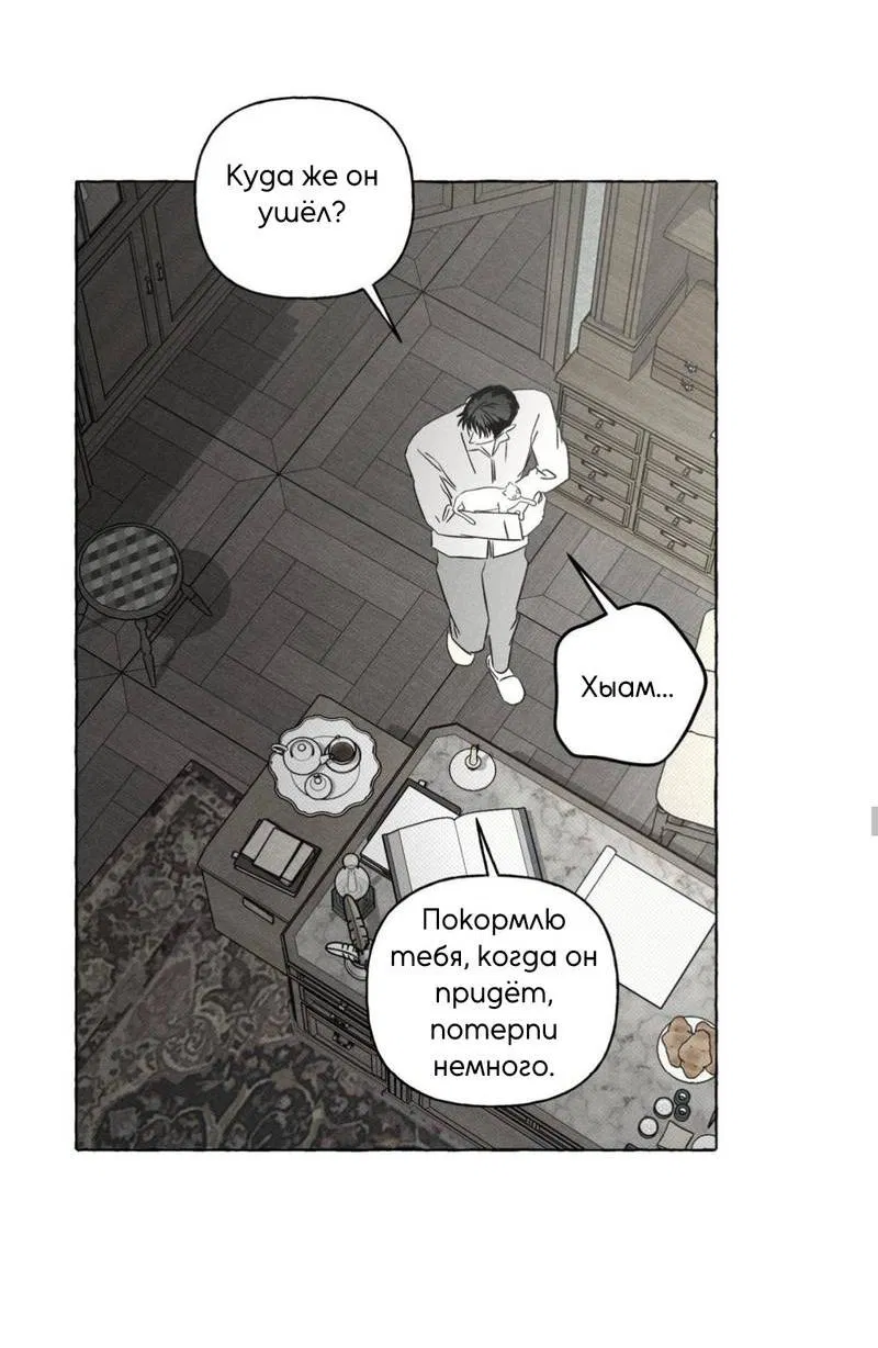 Манга Кость и лепесток - Глава 47 Страница 49