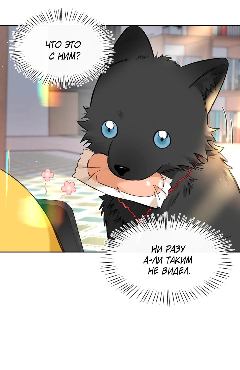 Манга Волк хочет взять за меня ответственность - Глава 22 Страница 11