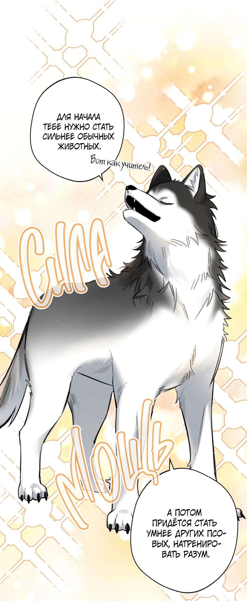 Манга Волк хочет взять за меня ответственность - Глава 22 Страница 33