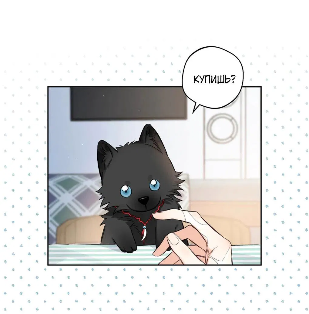 Манга Волк хочет взять за меня ответственность - Глава 23 Страница 30