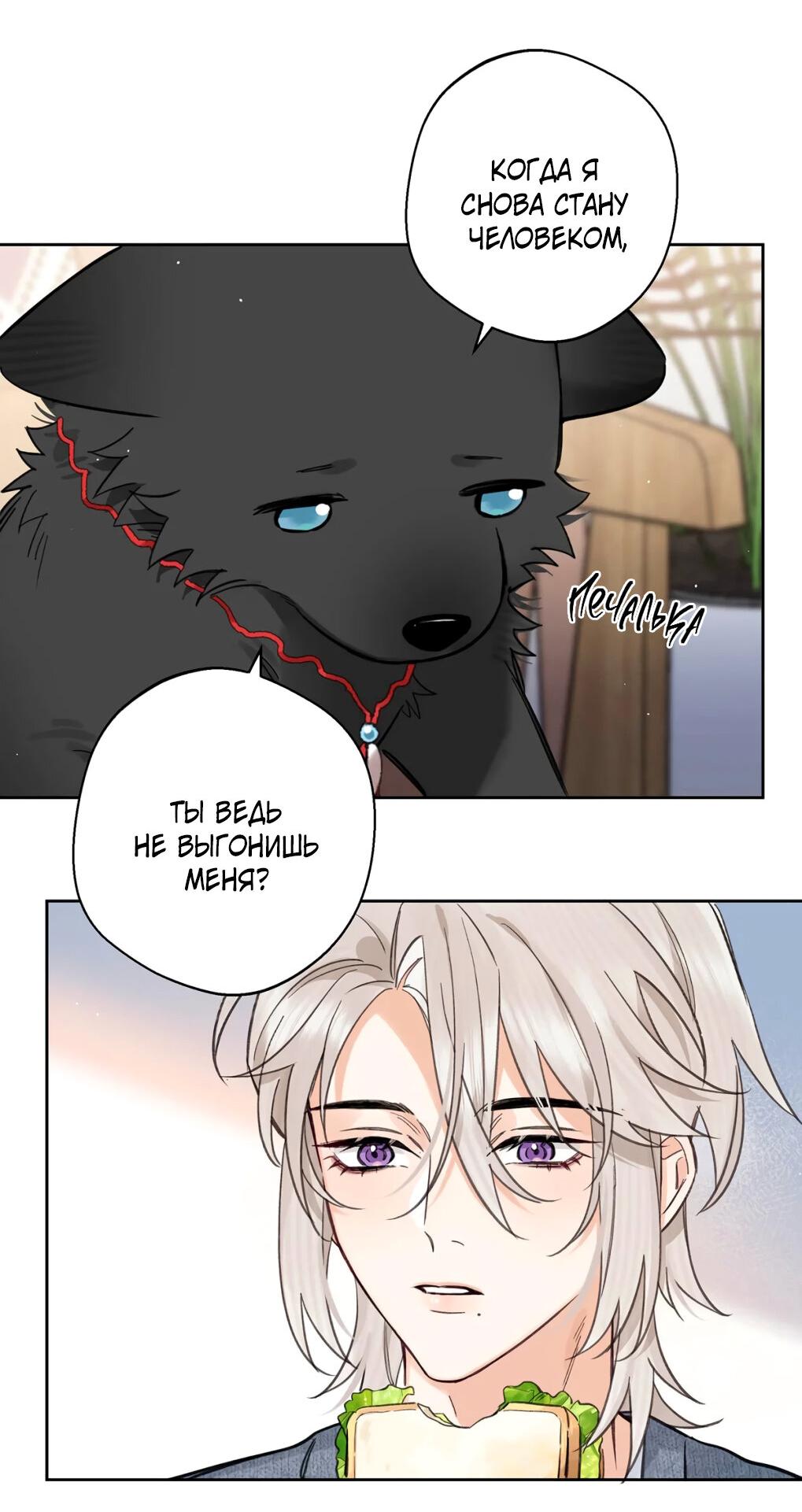 Манга Волк хочет взять за меня ответственность - Глава 23 Страница 24