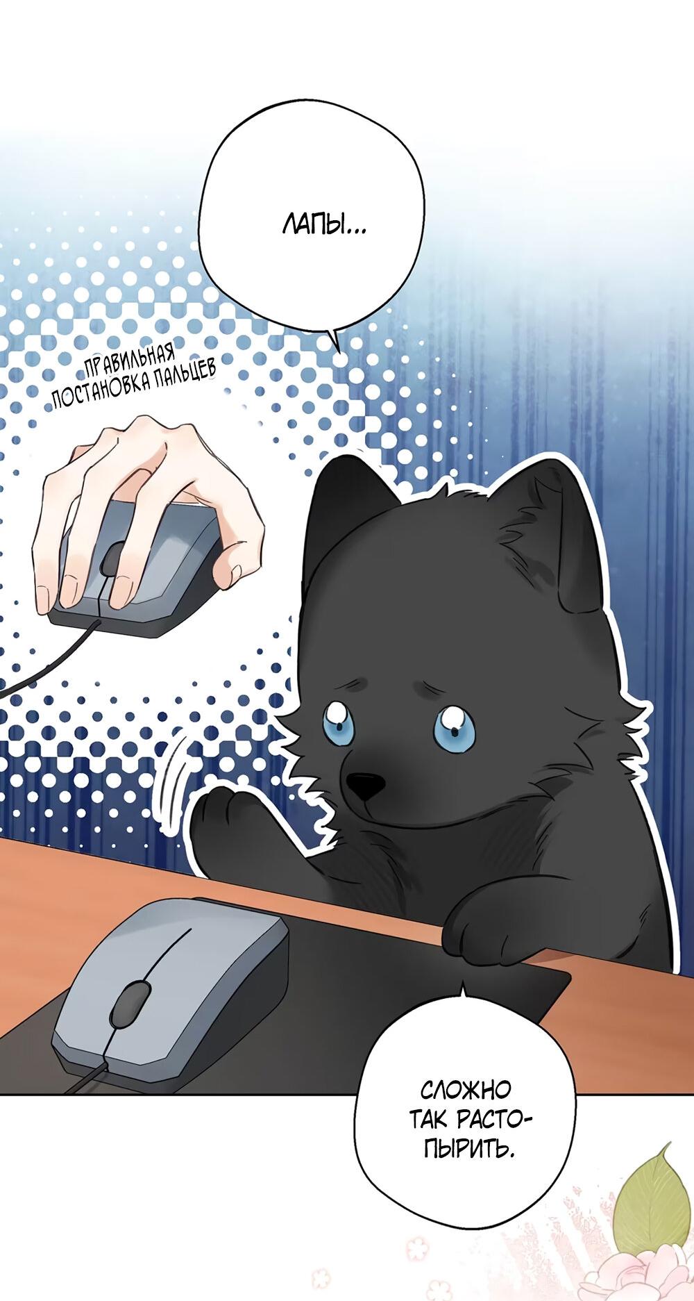 Манга Волк хочет взять за меня ответственность - Глава 24 Страница 17