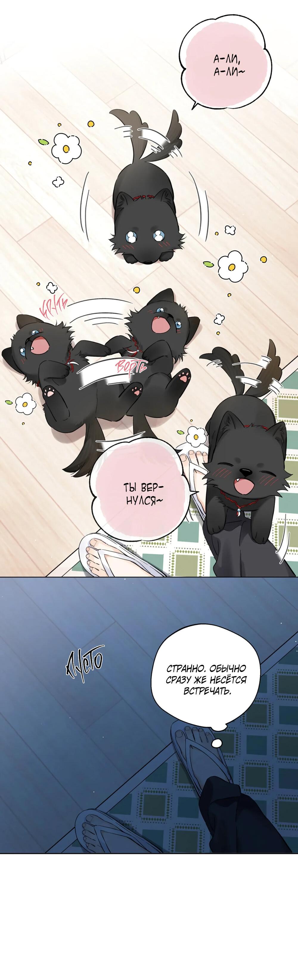 Манга Волк хочет взять за меня ответственность - Глава 25 Страница 21