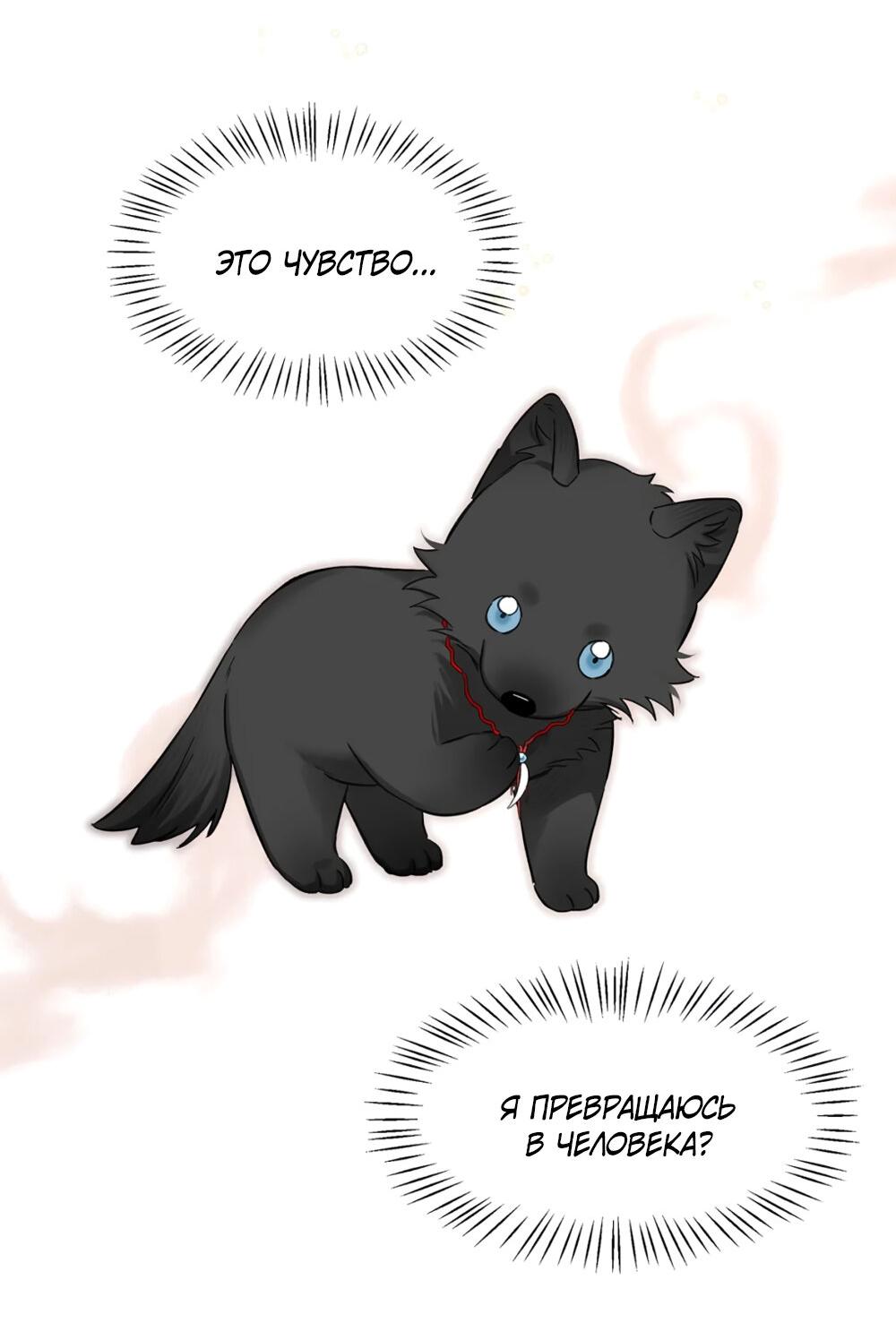 Манга Волк хочет взять за меня ответственность - Глава 25 Страница 37