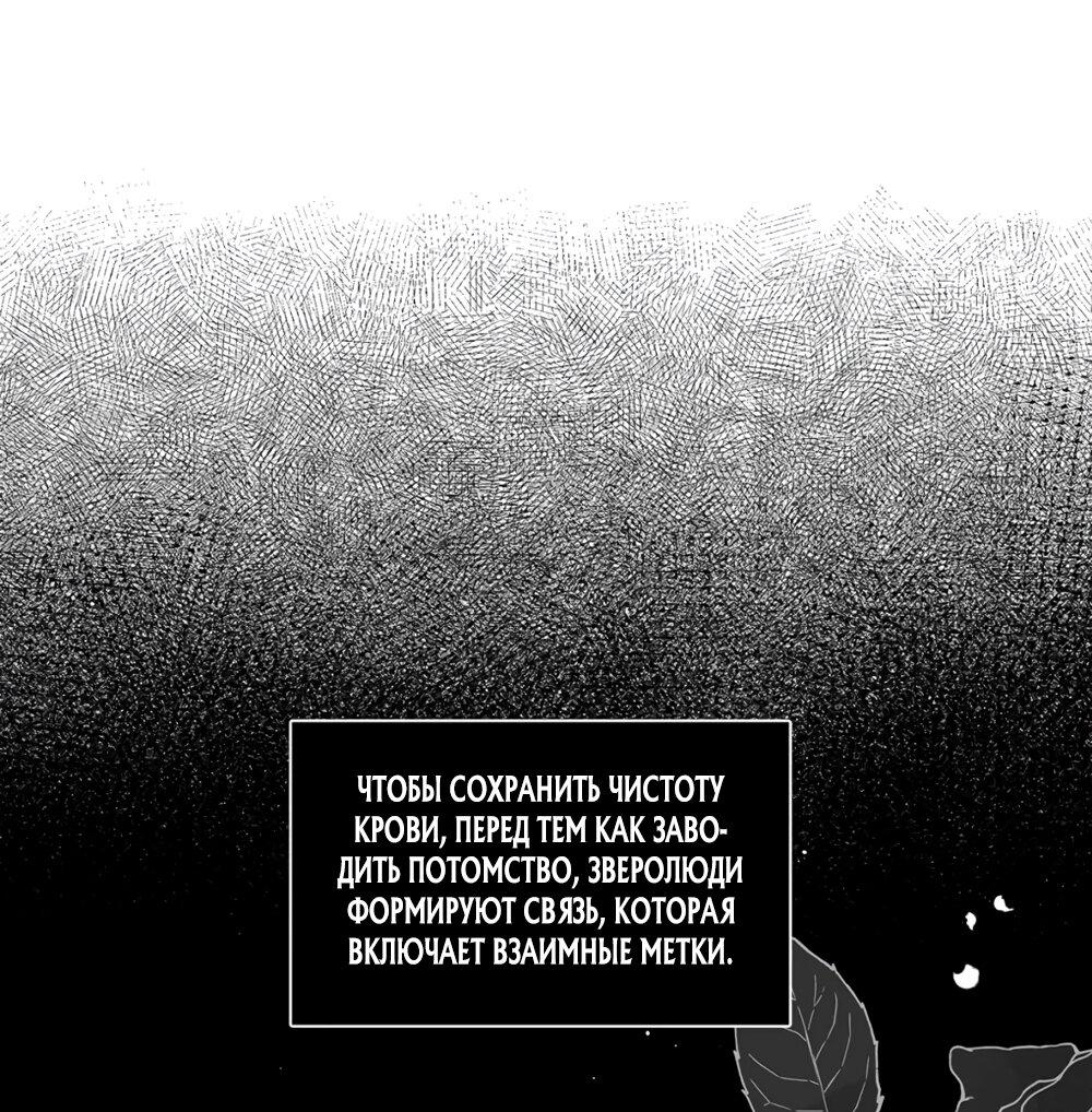 Манга Волк хочет взять за меня ответственность - Глава 27 Страница 24