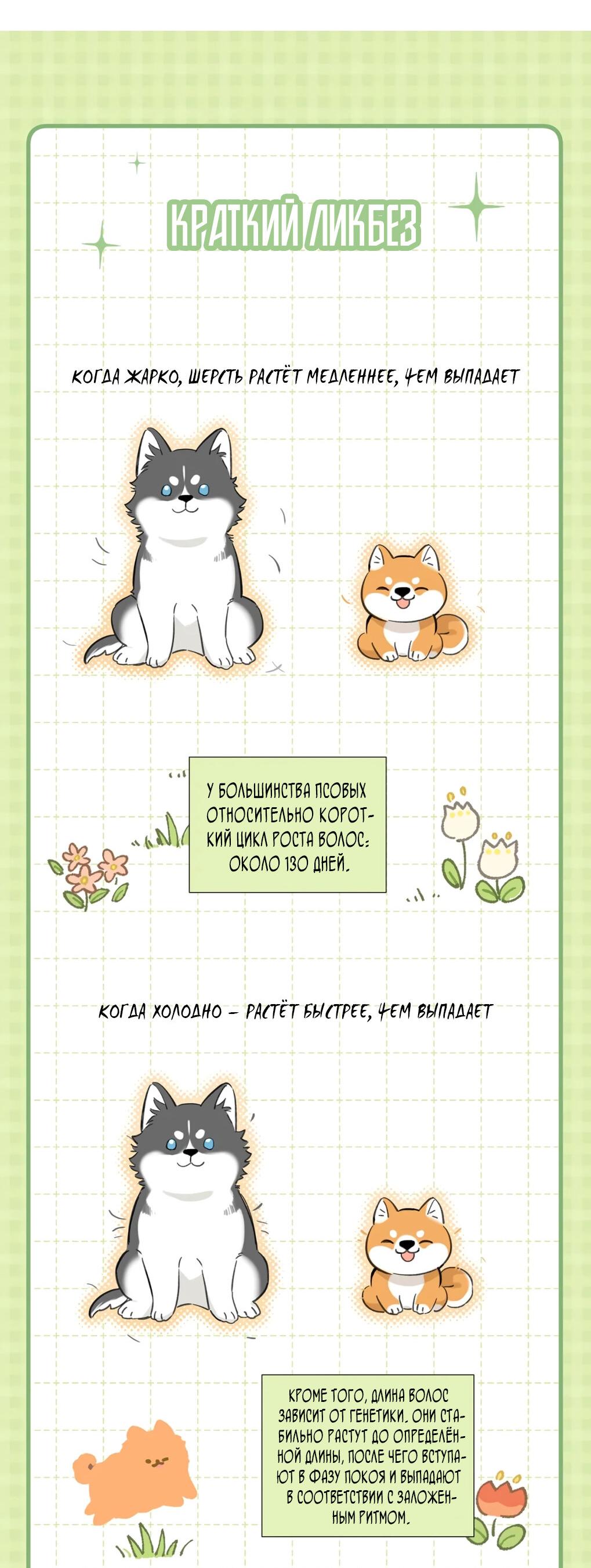 Манга Волк хочет взять за меня ответственность - Глава 28 Страница 14