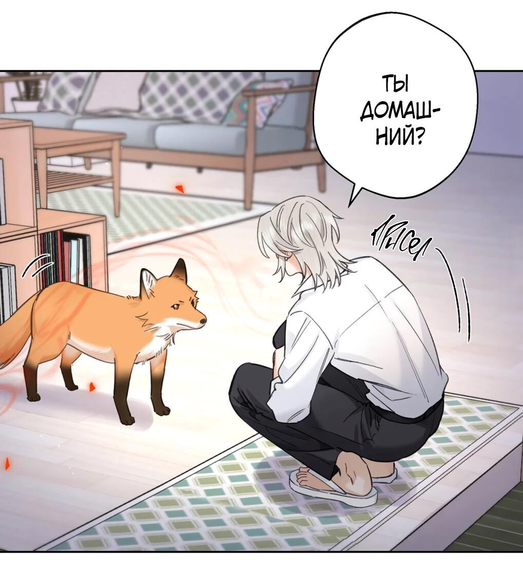 Манга Волк хочет взять за меня ответственность - Глава 31 Страница 35