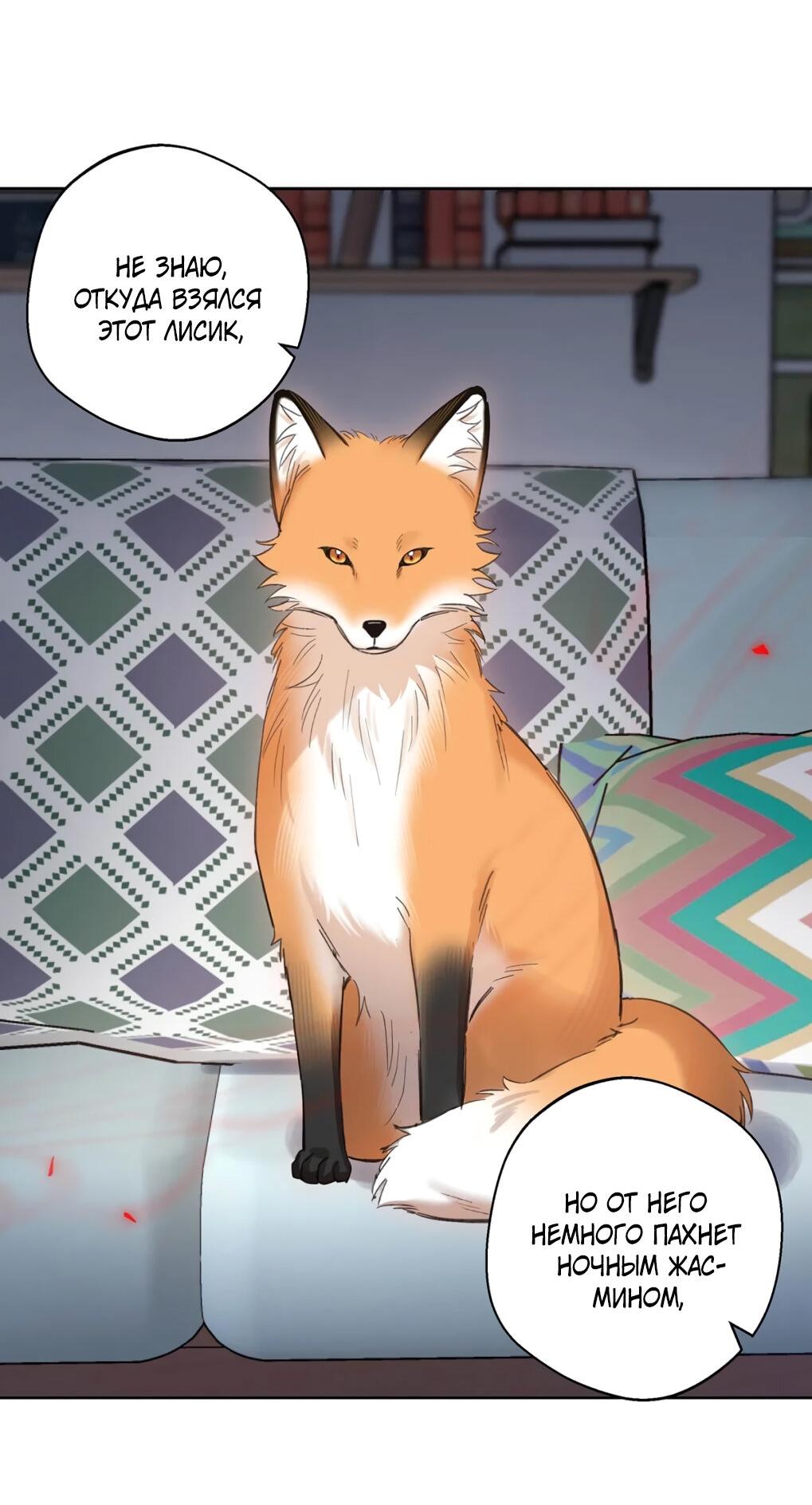 Манга Волк хочет взять за меня ответственность - Глава 33 Страница 10