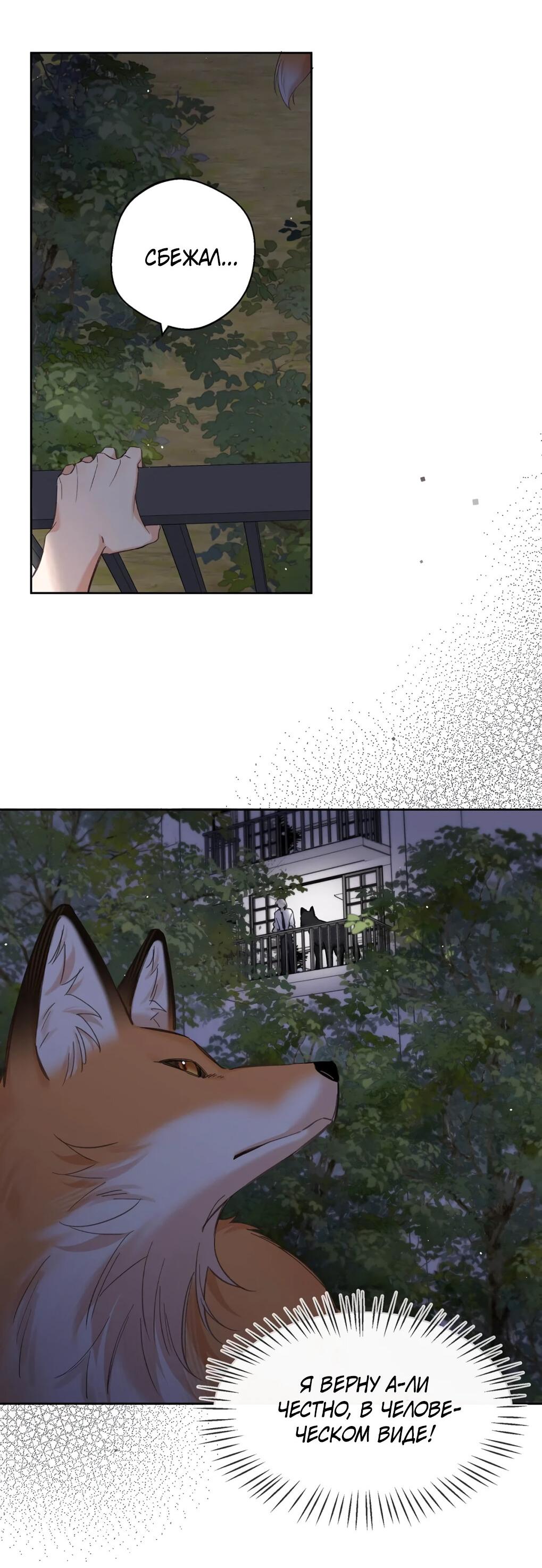 Манга Волк хочет взять за меня ответственность - Глава 33 Страница 34
