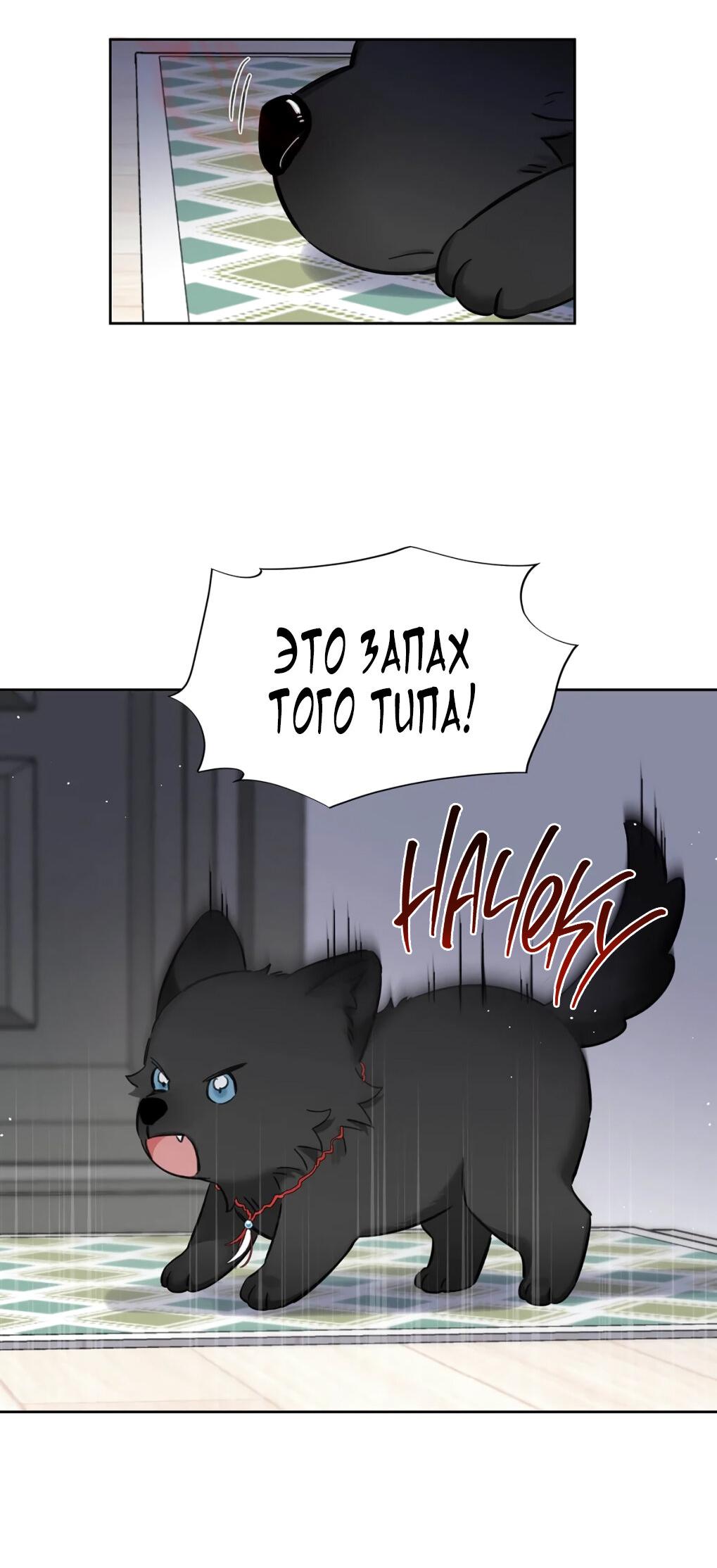 Манга Волк хочет взять за меня ответственность - Глава 33 Страница 8