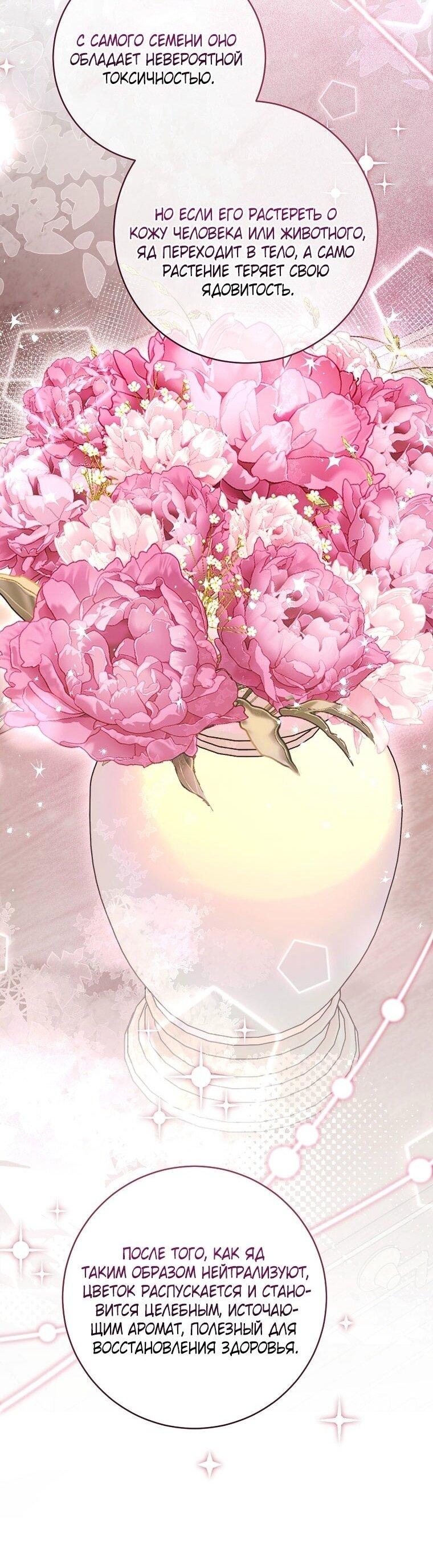 Манга Вместо сына я выберу отца - Глава 47 Страница 5