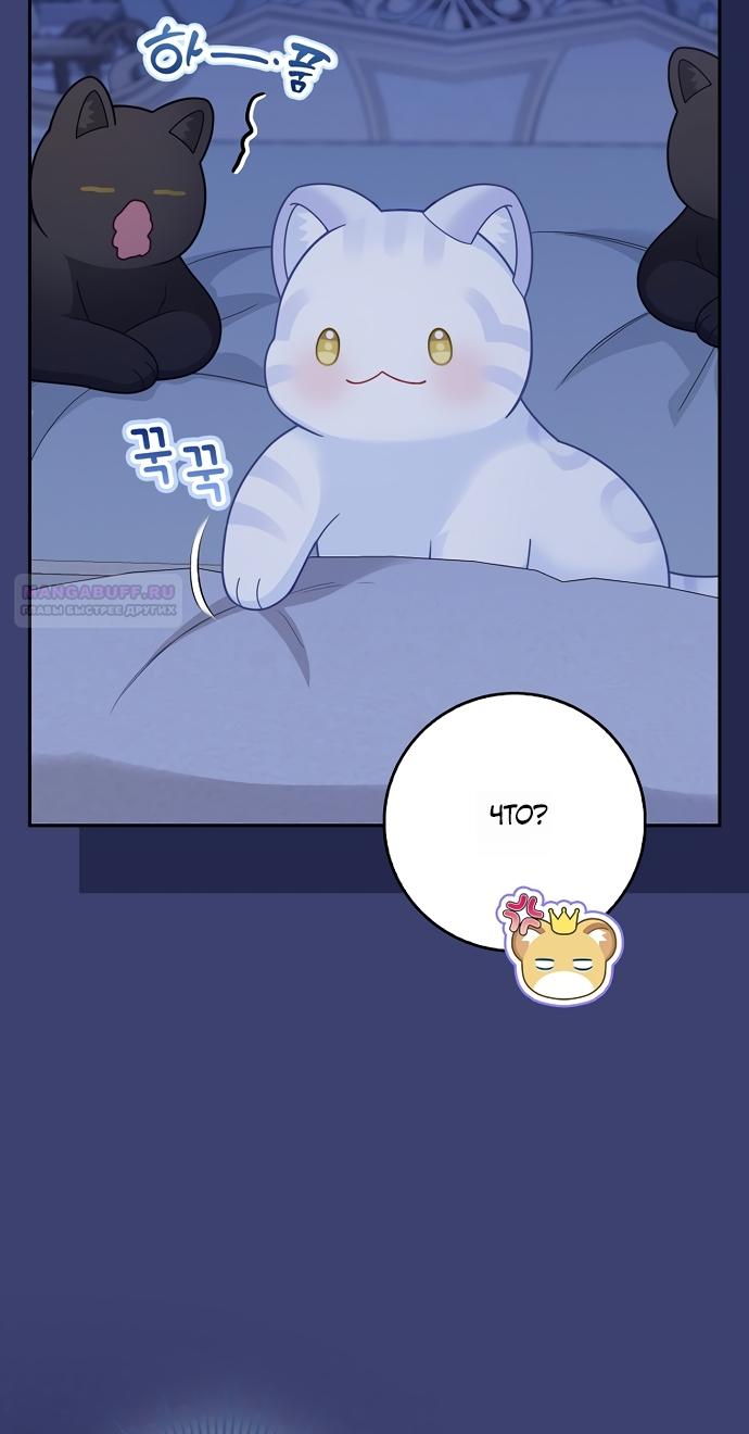Манга Детёныш снежного барса из семейства чёрных леопардов - Глава 64 Страница 78