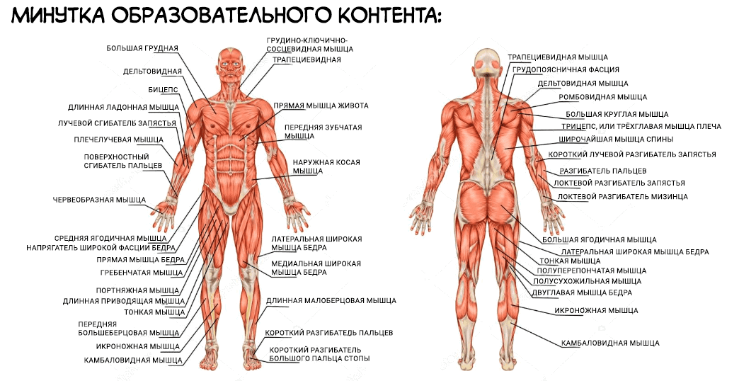 Манга Под тихой ночью - Глава 23 Страница 44