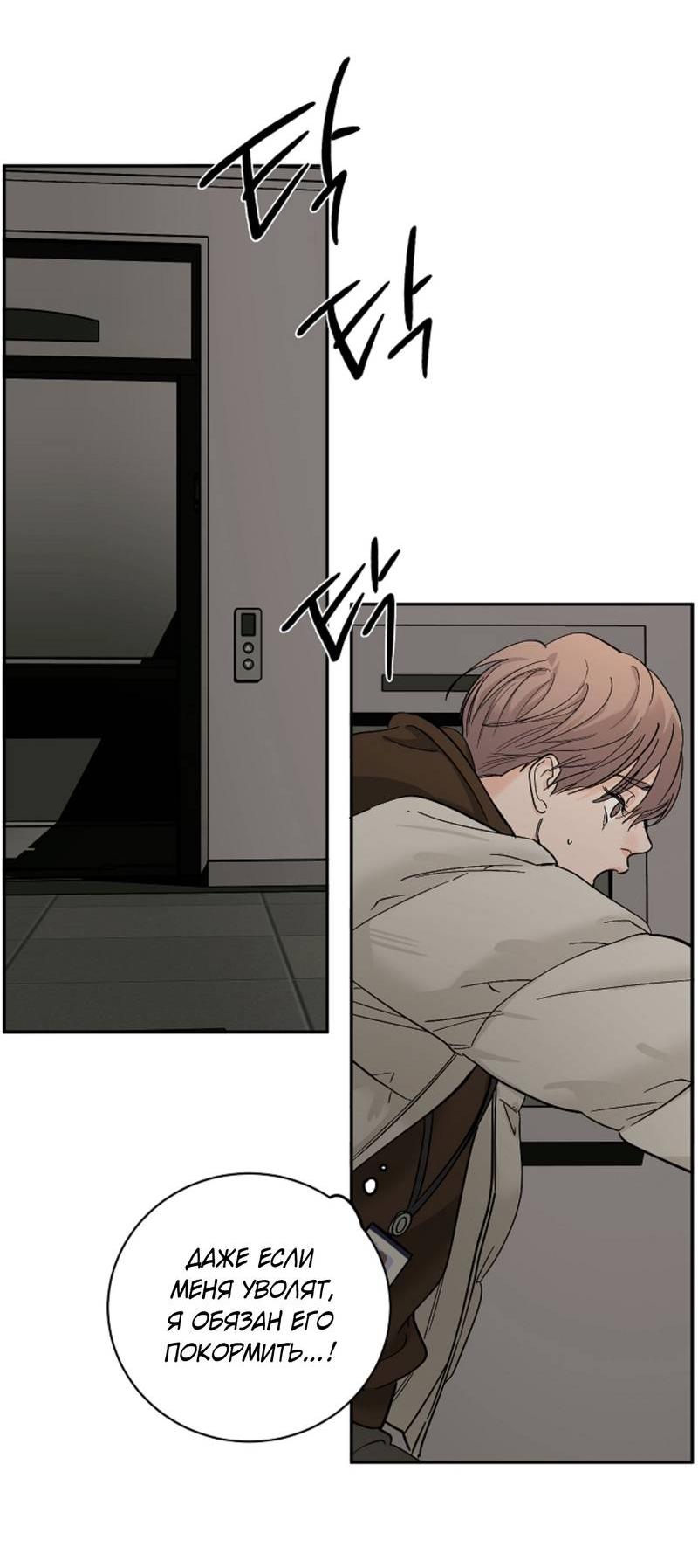 Манга Дело «Цунами»: метод охоты на косаток - Глава 34 Страница 57