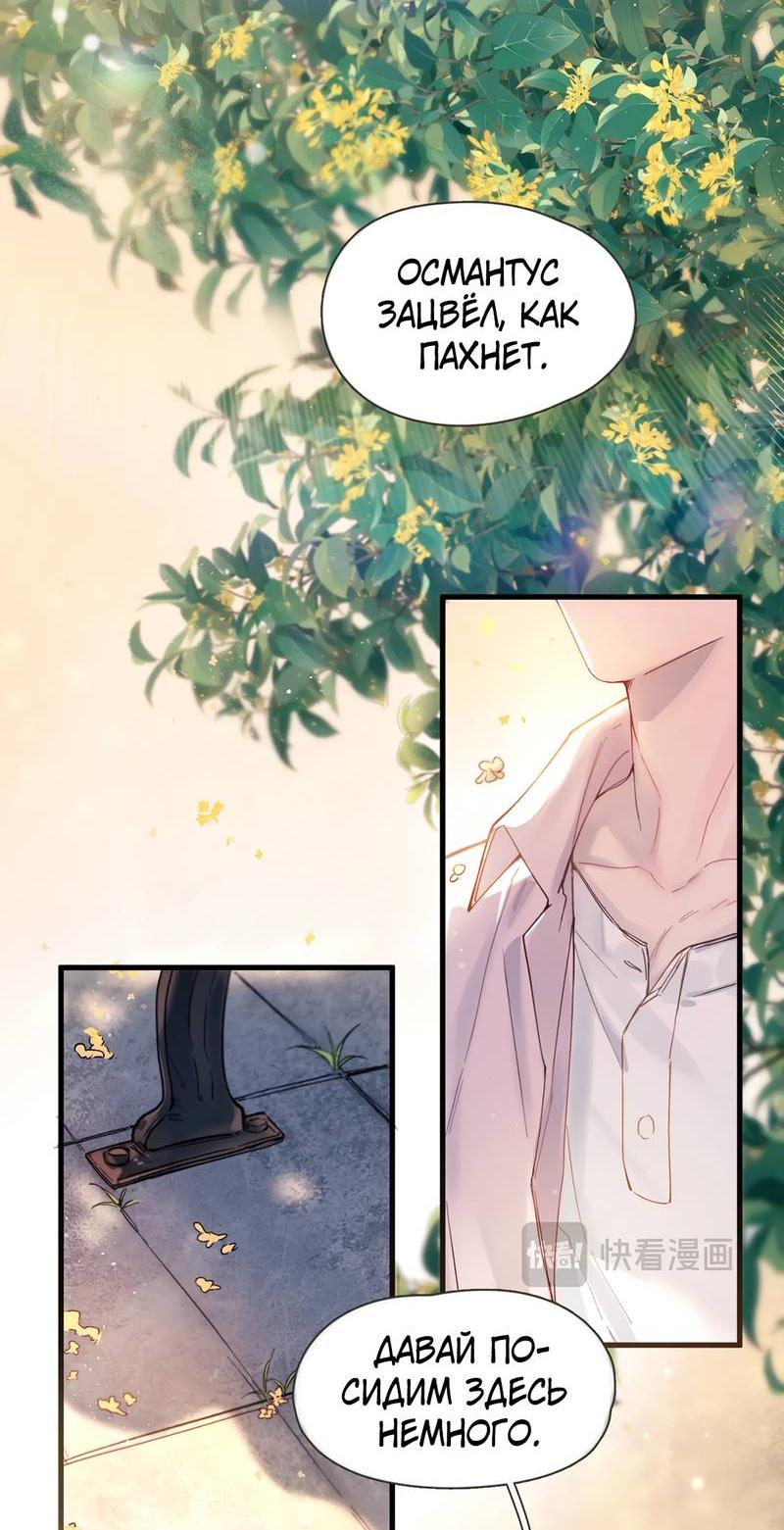 Манга Птица отмщения, летящая над морем - Глава 37 Страница 13