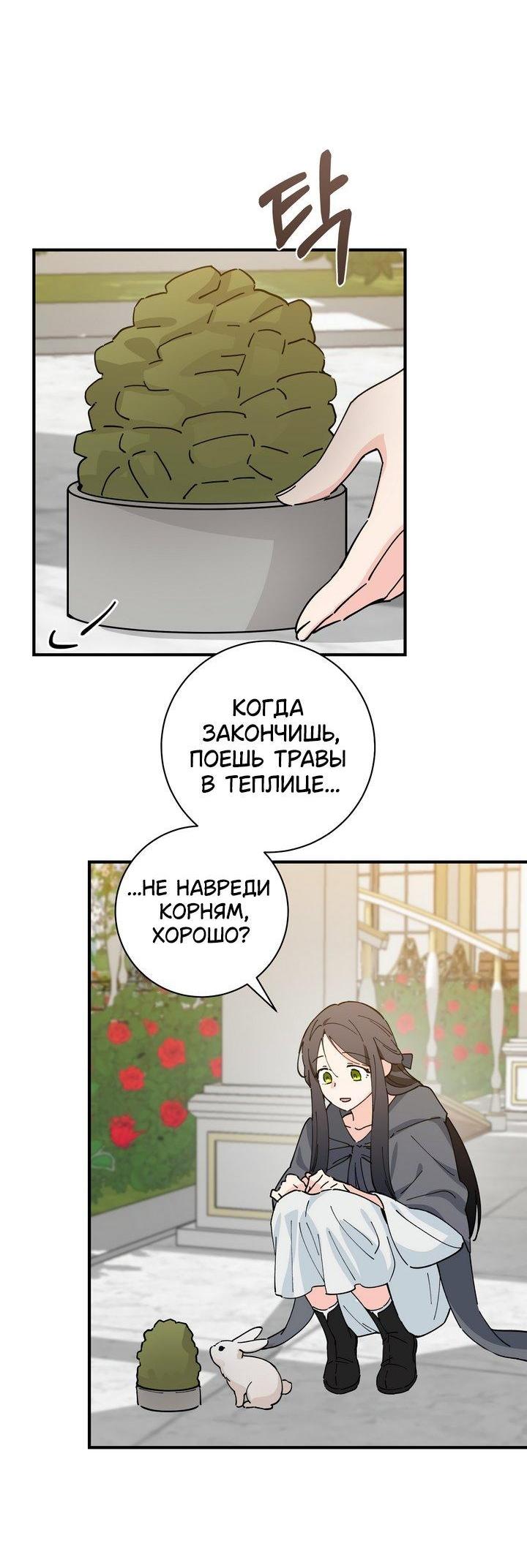 Манга Девушка, покорившая волшебника - Глава 26 Страница 6