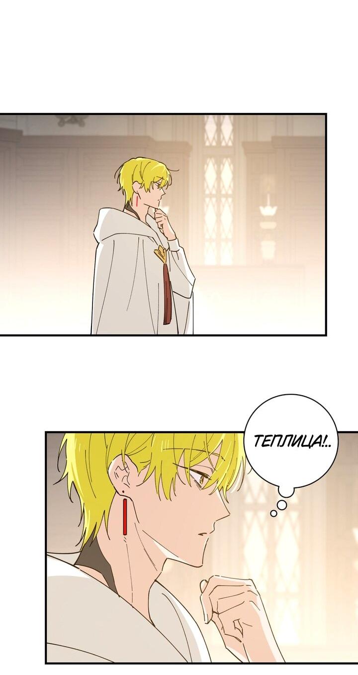 Манга Девушка, покорившая волшебника - Глава 27 Страница 20