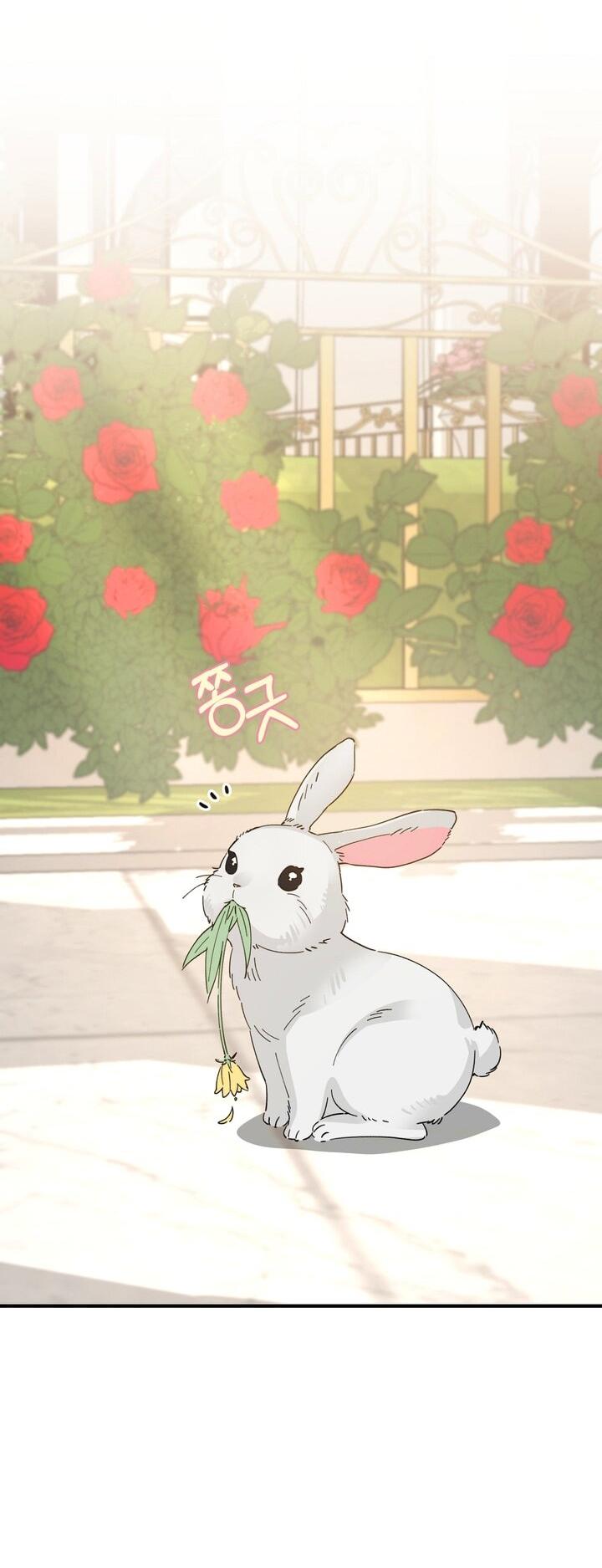 Манга Девушка, покорившая волшебника - Глава 27 Страница 21